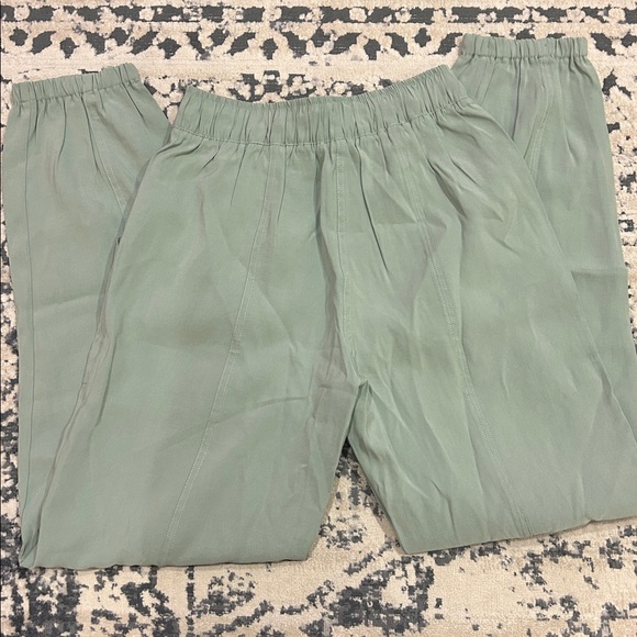 NWT Abercrombie and Fitch Sage Green Joggers - Picture 9 of 9